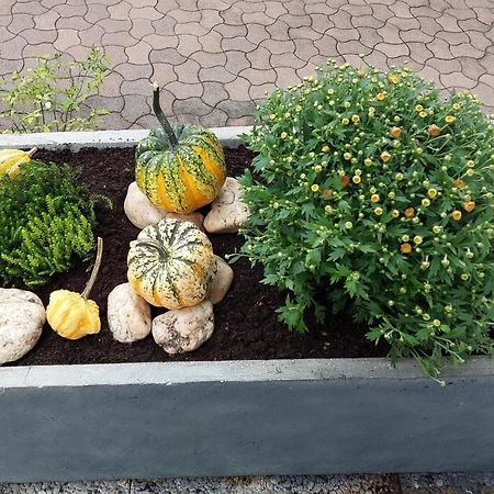Ferienwohnung "Auszeit" Hofheim in Unterfranken ภายนอก รูปภาพ